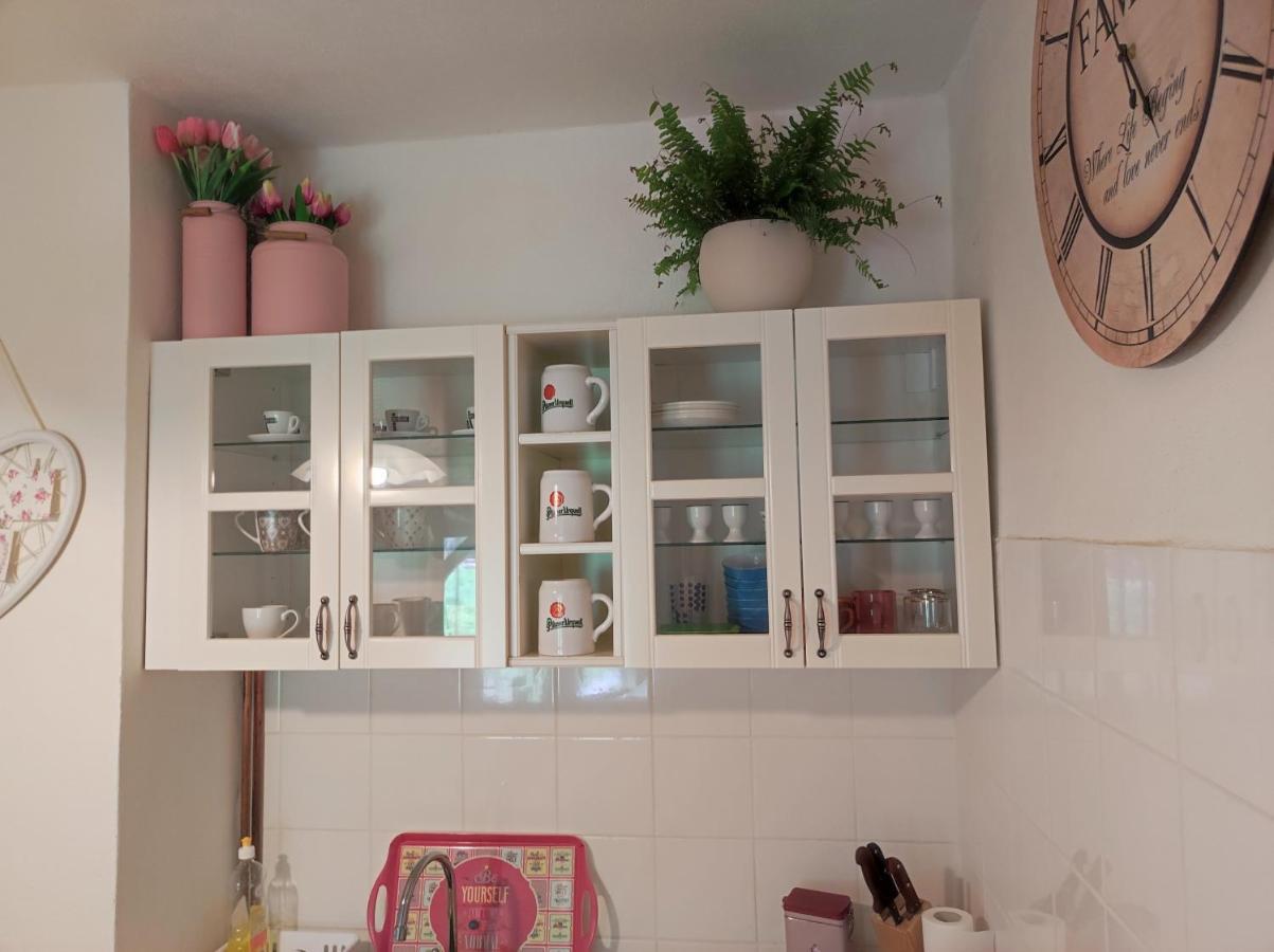 Banská Štiavnica Babka Houseヴィラ エクステリア 写真